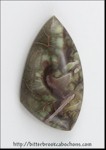 Rainforest Jasper