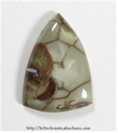 Rainforest Jasper