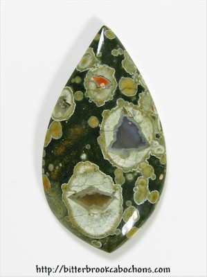 Rainforest Jasper