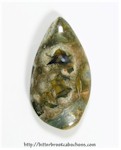 Rainforest Jasper Rainforest Jasper