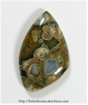 Rainforest Jasper