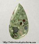 Rainforest Jasper Cabochon