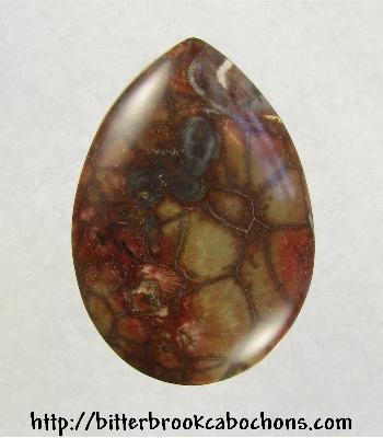 Rainforest Jasper Cabochon