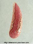 Rhodochrosite Cabochon