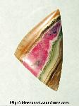 Rhodochrosite Cabochon