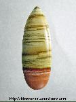 Rhyolite Cabochon