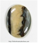 Seam Agate Cabochon