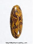 Script Cabochon Script Cabochon