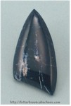 Sodalite Sodalite