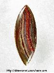 Striped Jasper Cabochon