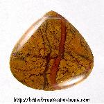 Stone Canyon Jasper Cabochon