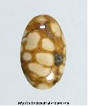 Teal Puddingstone Cabochon Teal Puddingstone Cabochon