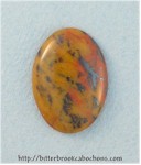 Tiger Jasper