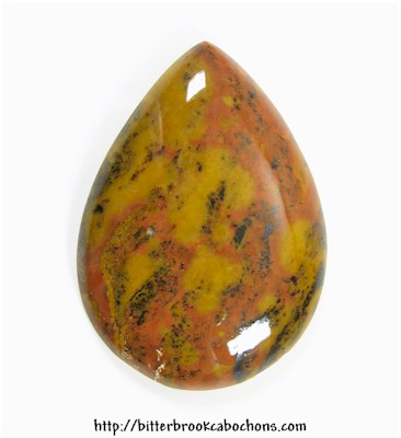 Tiger Jasper