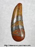 Tigereye Jasper Cabochon Tigereye Jasper Cabochon
