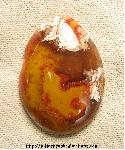 Tennessee Paint Rock Agate Cabochon