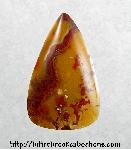 Tennessee Agate Cabochon