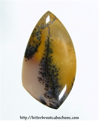 Tree Jasper