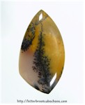 Tree Jasper Tree Jasper