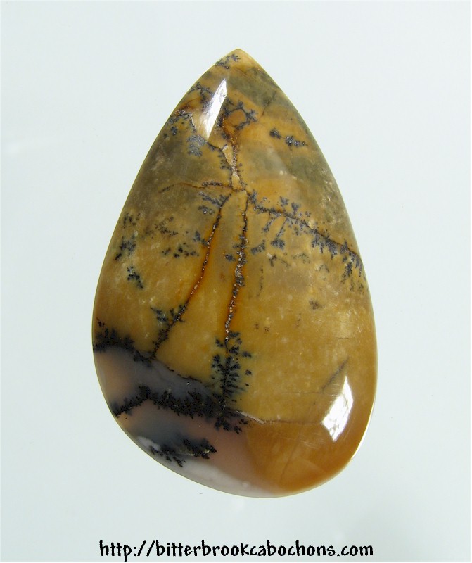 Tree Jasper