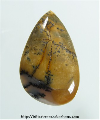 Tree Jasper