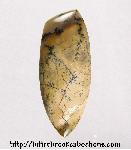 Tree Jasper Cabochon