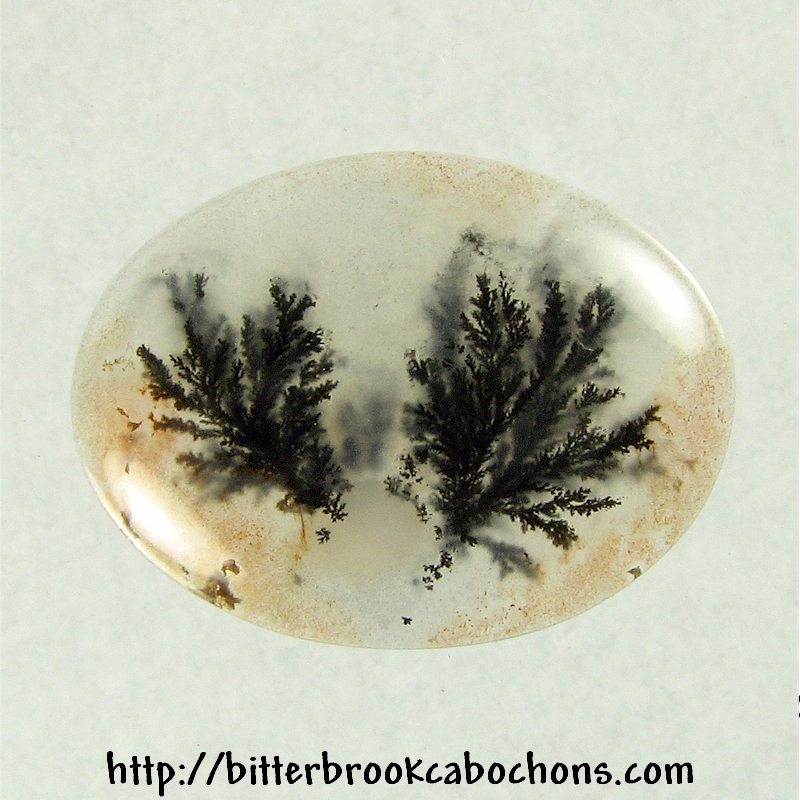 Tree Jasper Cabochon