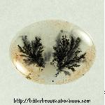 Tree Jasper Cabochon