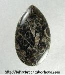 Turritella Jasper Cabochon