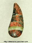 Unakite Cabochon Unakite Cabochon