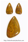 Unknown Jasper Unknown Jasper