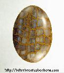 Unknown Stone Cabochon Unknown Stone Cabochon