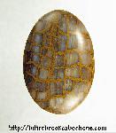 Unknown Stone Cabochon