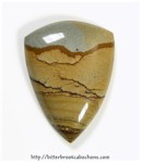 Wild Horse Picture Jasper Cabochon