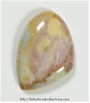 Willow Creek Jasper Cabochon