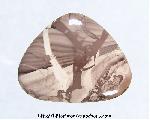 Willow Creek Jasper Cabochon